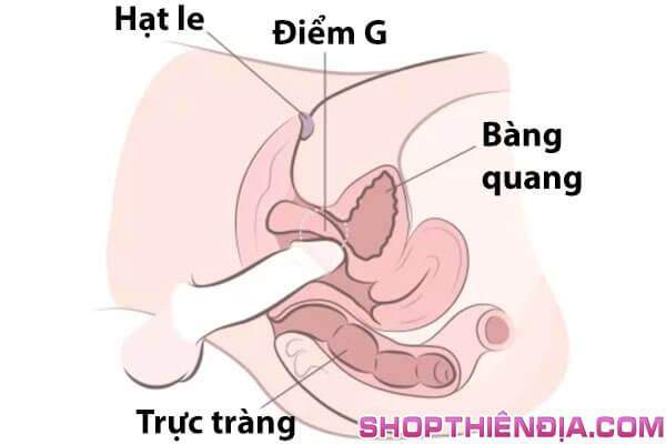 Cách làm tình cho phụ nữ SƯỚNG CHẢY NƯỚC (bằng Miệng - Tay - Dương vật)