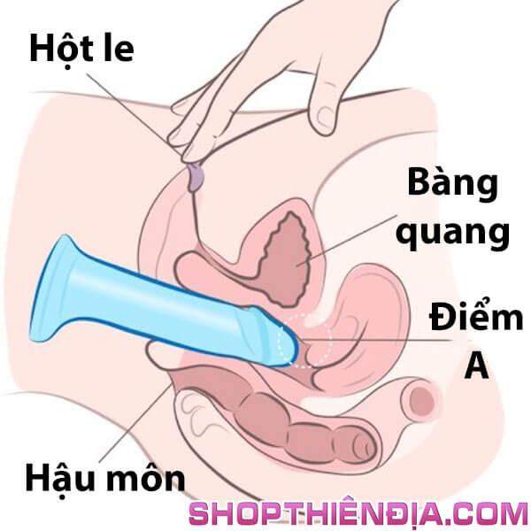 cach-su-dung-duong-vat-gia 