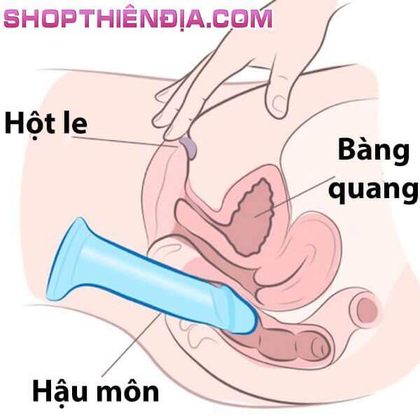 cach-su-dung-duong-vat-gia