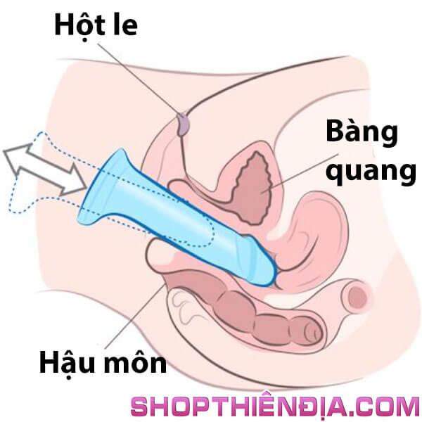 cach-su-dung-duong-vat-gia 