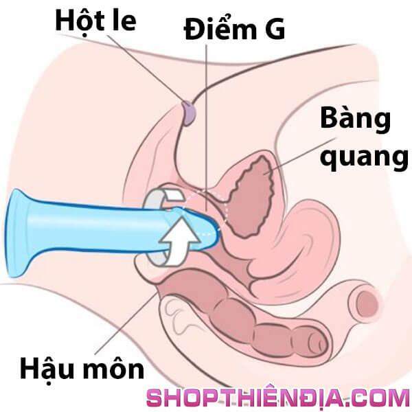 cach-su-dung-duong-vat-gia