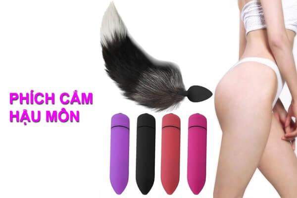 Phích cắm hậu môn là gì?