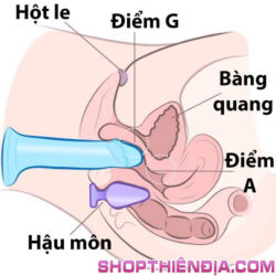 Đút dương vật giả vào âm đạo và hậu môn