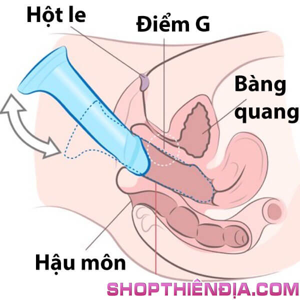 cach-su-dung-duong-vat-gia