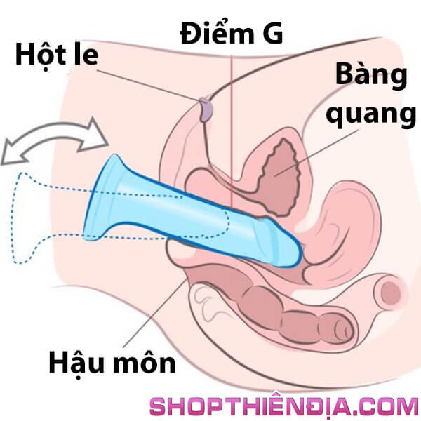 cach-su-dung-duong-vat-gia